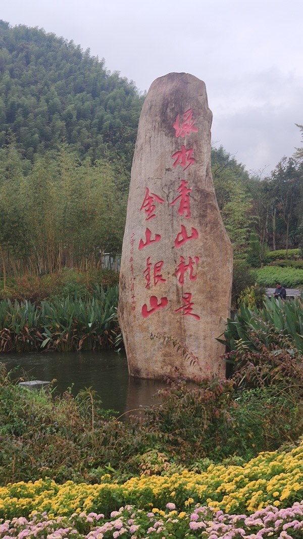 世界互聯(lián)網大會首批全球青年領軍者赴浙開展調研