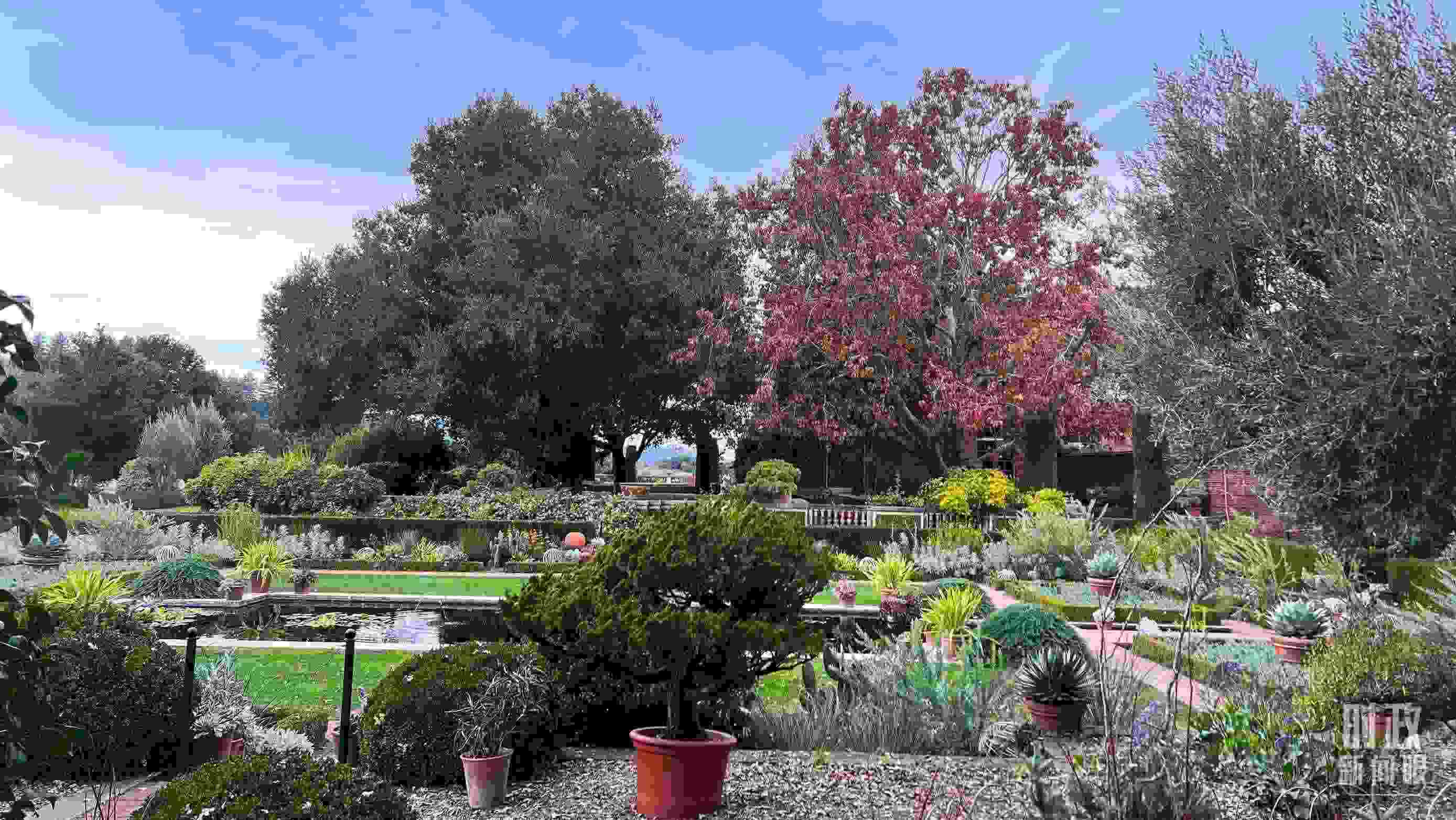 斐洛里莊園被稱(chēng)作美國(guó)20世紀(jì)現(xiàn)存最精美鄉(xiāng)村莊園之一。（總臺(tái)央視記者程鋮拍攝）