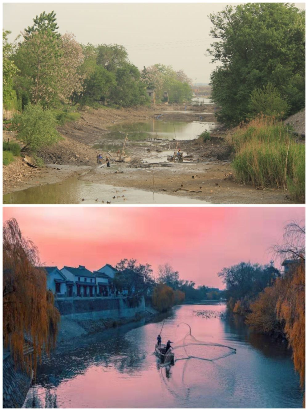 江蘇省揚(yáng)州市江都區(qū)明清運(yùn)河故道整治前后。（上圖：2012年；下圖：2020年）（孫友定 攝）