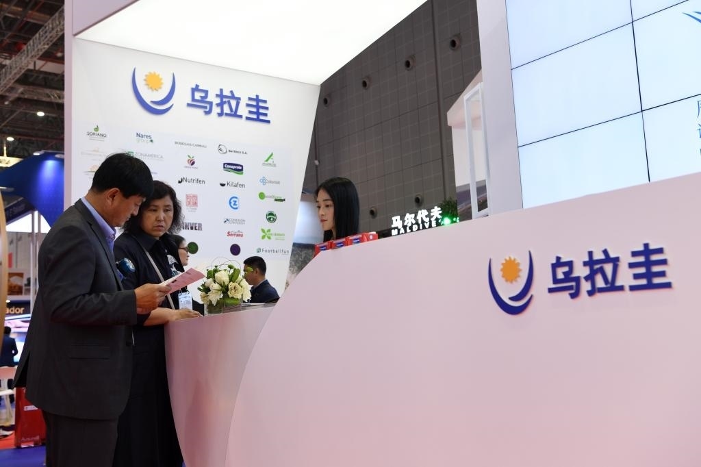 2019年11月6日，參觀者在第二屆進(jìn)博會烏拉圭國家館展臺咨詢。