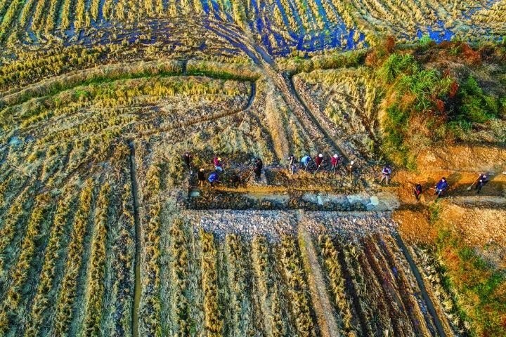 良渚遺址考古發(fā)掘現(xiàn)場。