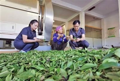  圖③：蒼梧法院六堡法庭法官深入茶企了解企業(yè)生產(chǎn)經(jīng)營情況。