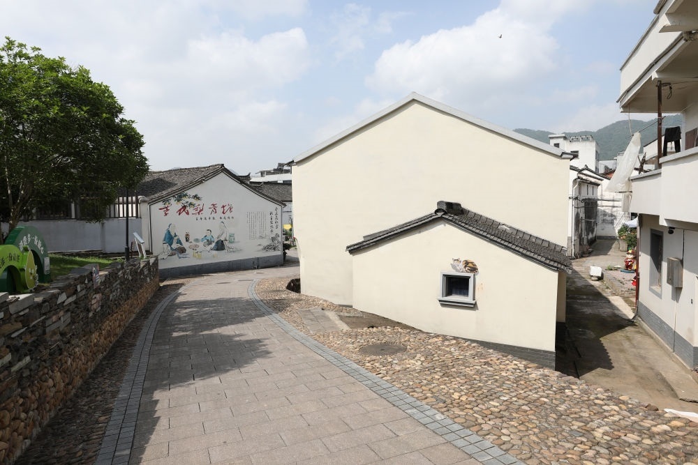 浙江省義烏市李祖村一景（2023年5月23日攝）。新華社記者 杜瀟逸 攝