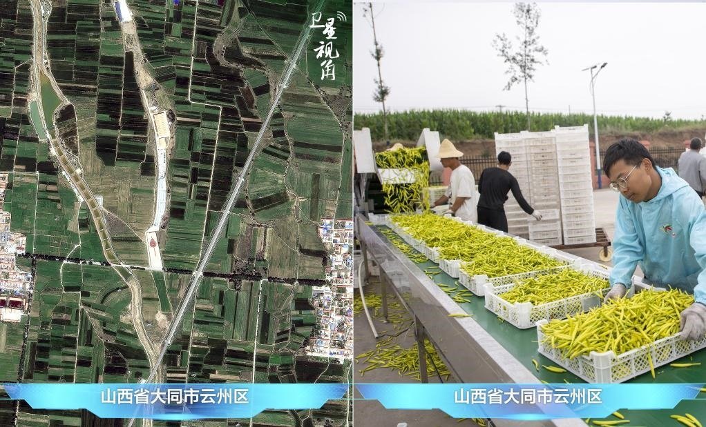 當(dāng)前，大同市開發(fā)黃花菜品、食品、飲品、功能食品、化妝品、文創(chuàng)產(chǎn)品六大系列130余種，全產(chǎn)業(yè)鏈產(chǎn)值超40億元。