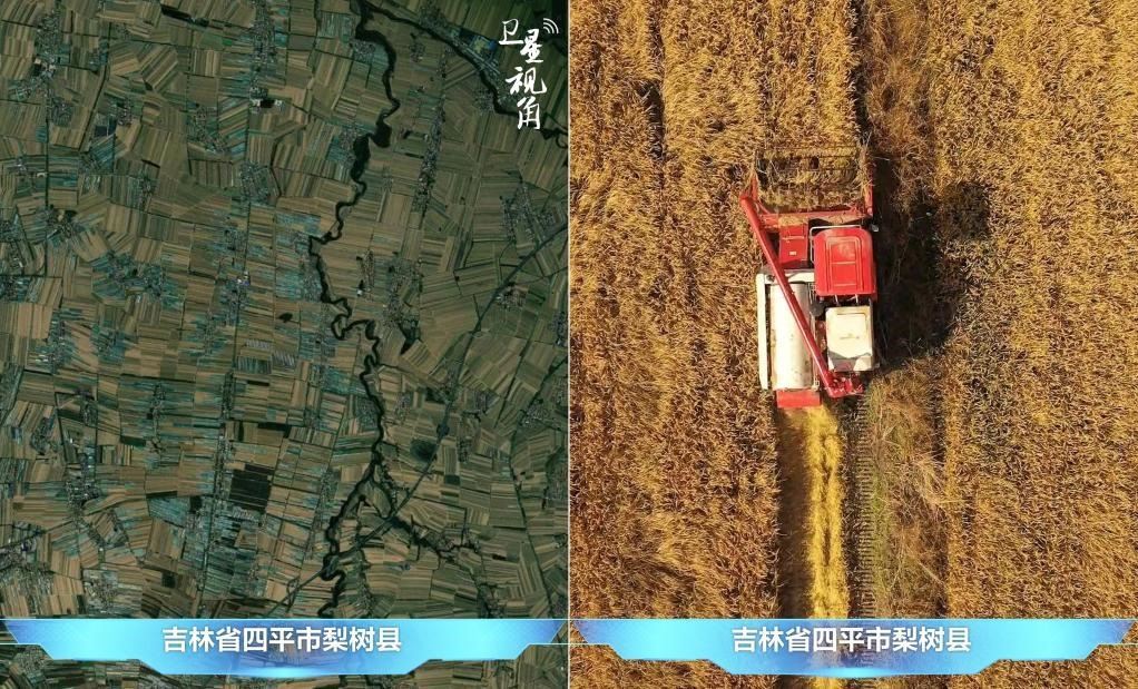 隨著現(xiàn)代化農(nóng)機(jī)普及應(yīng)用，保護(hù)性耕作“梨樹模式”得以大面積推廣，不僅使黑土地保護(hù)與利用持續(xù)深入，更為糧食作物高產(chǎn)穩(wěn)產(chǎn)助力。