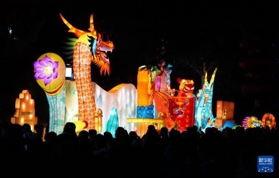 2月11日晚，人們在濟南市趵突泉公園觀賞花燈。