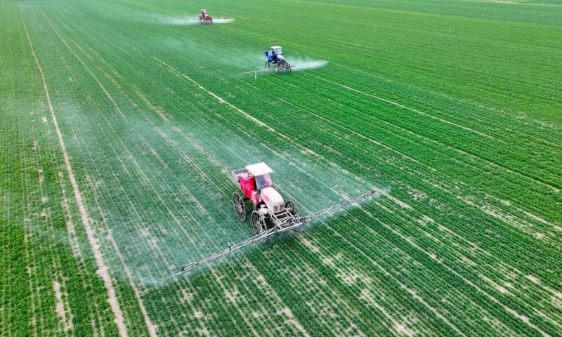 2024年2月18日，安徽省亳州市，利辛縣紀王場鄉(xiāng)孫老家村麥田，農(nóng)民駕駛自走式高桿噴霧機對小麥進行噴藥作業(yè)。