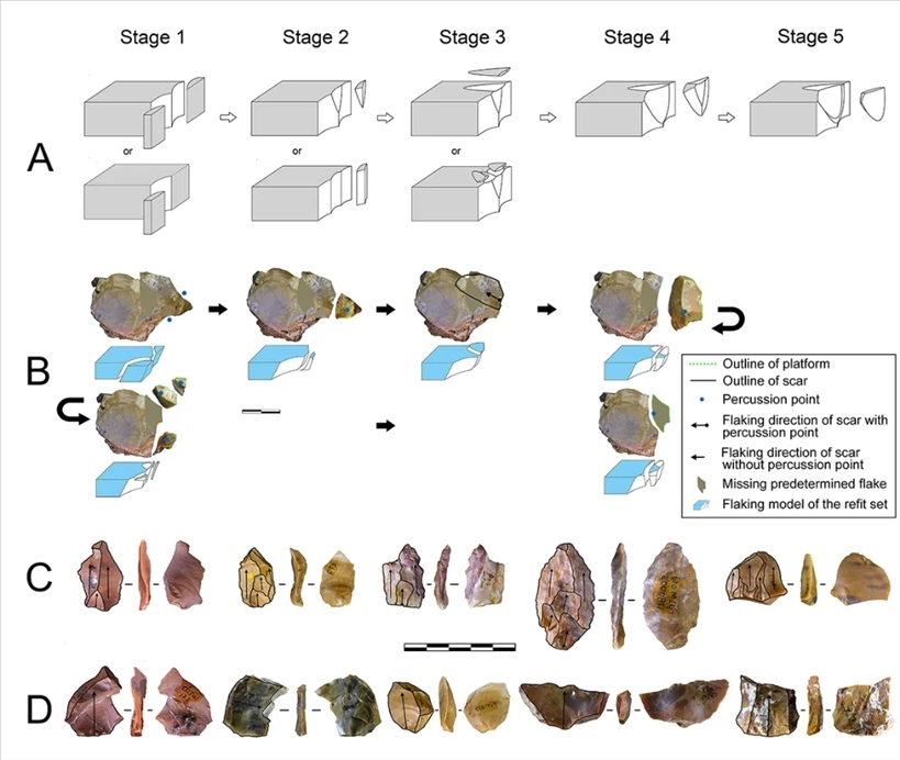 岑家灣遺址“準備石核技術”及相關石制品。（受訪單位供圖）