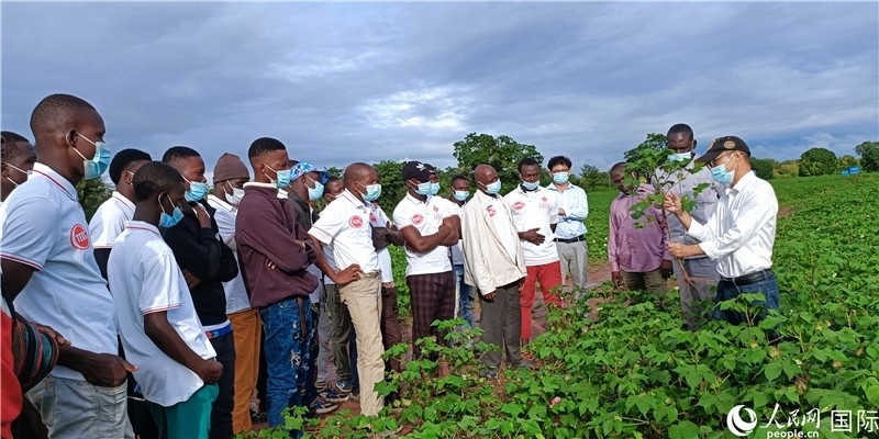 項(xiàng)目組長(zhǎng)首小勇向當(dāng)?shù)孛揶r(nóng)做技術(shù)講解。人民網(wǎng)記者 黃培昭攝