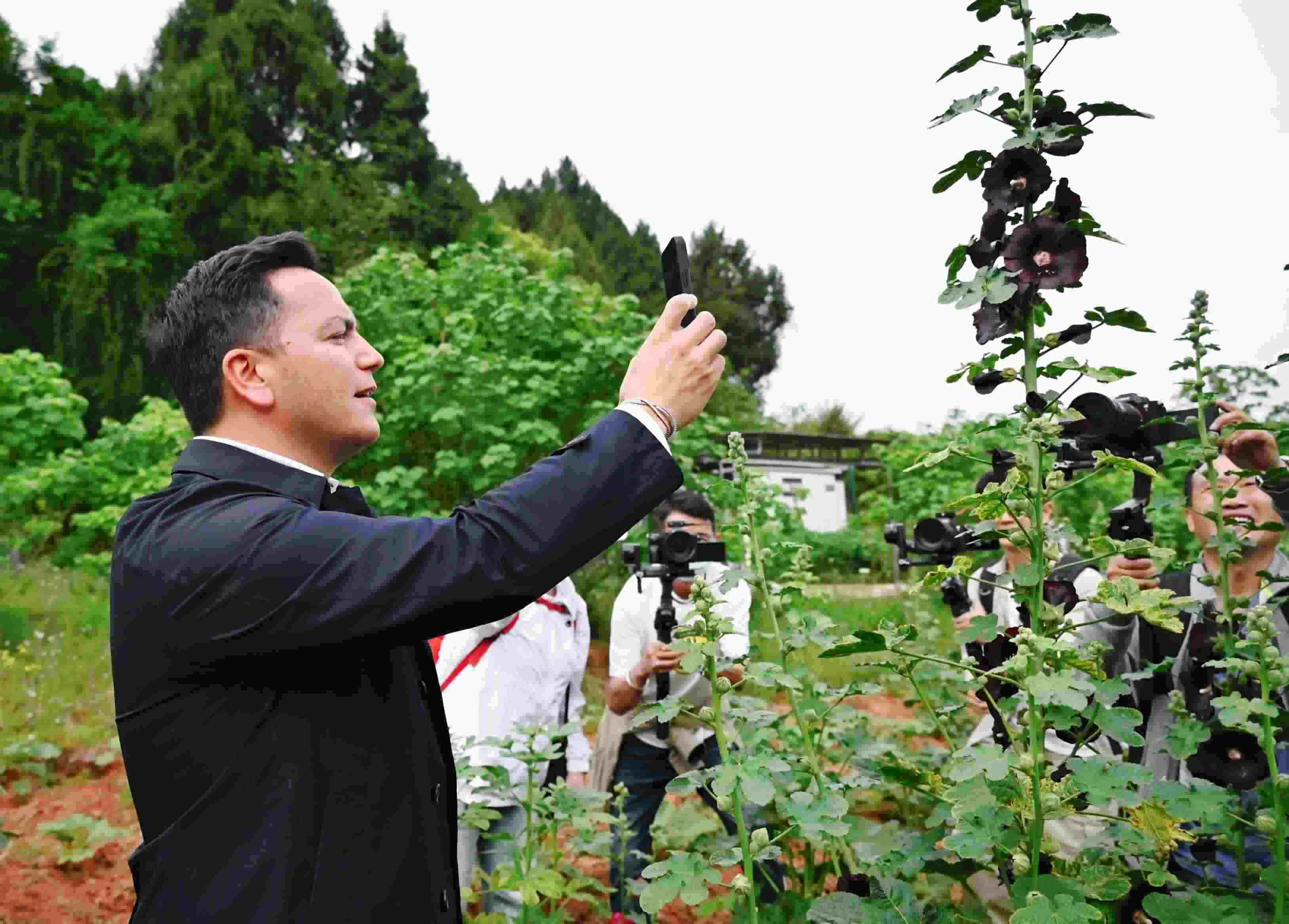  △2024年4月23日，國際園藝生產(chǎn)者協(xié)會主席萊昂納多·卡皮塔尼奧在成都市金堂縣鮮花山谷景區(qū)考察蜀葵產(chǎn)業(yè)。