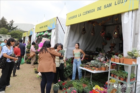 坎波·馬特活動現(xiàn)場。埃內(nèi)斯托·多明戈斯攝