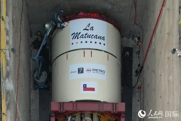 質(zhì)構(gòu)機全景。陳露明攝