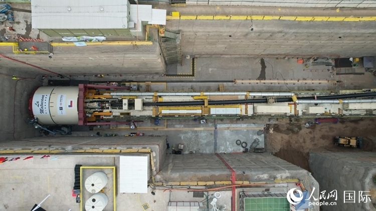 質(zhì)構(gòu)機全景。陳露明攝