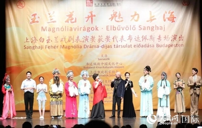 “玉蘭花開·魅力上?！弊哌M(jìn)布達(dá)佩斯。葉辰亮攝