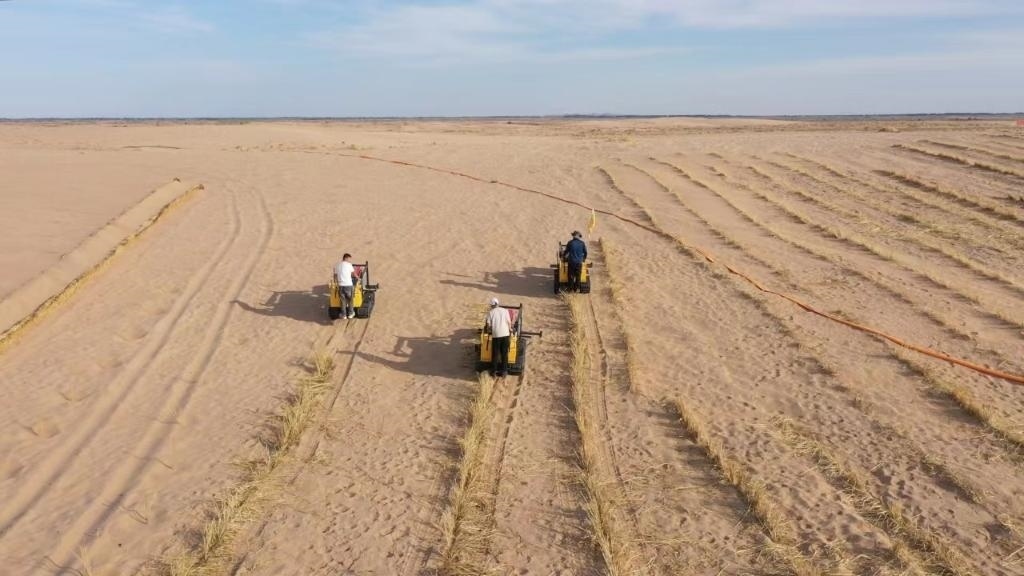 內(nèi)蒙古巴彥淖爾市烏拉特后旗西補(bǔ)隆林業(yè)管護(hù)中心職工駕駛機(jī)械鋪設(shè)壓沙障。新華社記者 李云平 攝