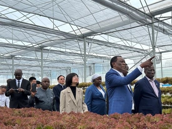 使節(jié)團考察貴州省清鎮(zhèn)駱家橋蔬菜保供基地的無土栽培溫室。新華社記者 袁睿 攝