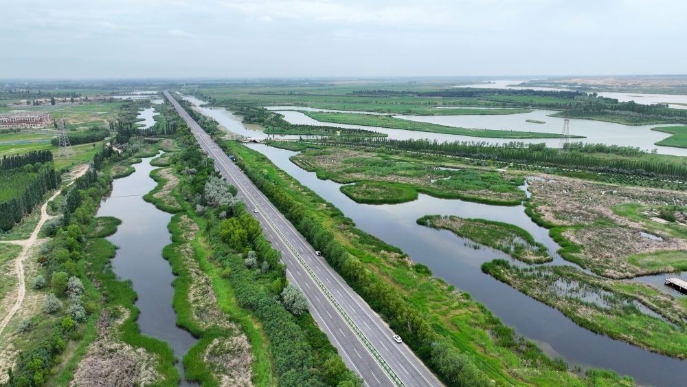這是2024年6月13日拍攝的黃河寧夏段濱河大道（無人機(jī)照片）。近年來，寧夏努力建設(shè)黃河流域生態(tài)保護(hù)和高質(zhì)量發(fā)展先行區(qū)，全力打好黃河保護(hù)持久戰(zhàn)。新華社記者 王鵬 攝