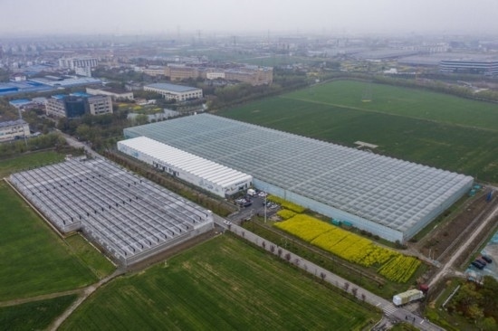 2024年3月28日，空中俯瞰嘉興南湖區(qū)湘家蕩農(nóng)業(yè)數(shù)字化工廠（無人機(jī)照片）。該農(nóng)業(yè)數(shù)字化工廠占地總面積約62畝，包含智慧農(nóng)業(yè)生產(chǎn)、物聯(lián)網(wǎng)智能管理、自動(dòng)分揀包裝、保鮮儲(chǔ)藏物流、高科技示范展示等五大功能區(qū)，可直接或間接培養(yǎng)帶動(dòng)新型職業(yè)技術(shù)農(nóng)民500人以上。新華社記者 徐昱 攝