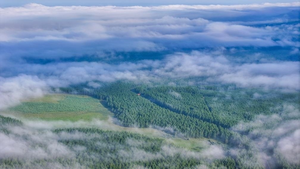 2024年7月26日拍攝的塞罕壩國家級自然保護區(qū)景色。新華社發(fā)（劉滿倉 攝）