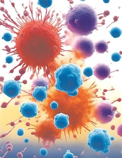 用氯化鈉處理的高活性CD8 T細(xì)胞（紫色），與未經(jīng)處理的細(xì)胞（藍(lán)色）相比，其抗腫瘤能力更強(qiáng)，能夠顯著損傷腫瘤細(xì)胞（紅色）。圖片來(lái)源：德國(guó)耶拿弗里德里?！は沾髮W(xué)