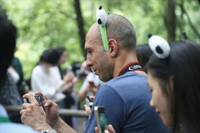 俄羅斯《俄羅斯報》視覺內(nèi)容編輯阿爾圖爾·杰魯諾夫在拍攝熊貓。（李佩藺 攝）