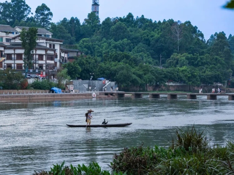 蘇稽古鎮(zhèn)的漁民在進(jìn)行魚(yú)鷹捕魚(yú)表演。本報(bào)記者 伊霄攝