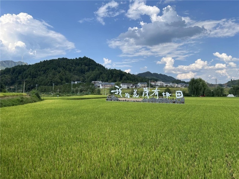 青瓦白磚的黔北民居、風中搖曳的稻田、抬手可觸的大片云朵……才剛下車，格魯吉亞“經(jīng)濟中心網(wǎng)”總編輯莉安娜·喬爾喬利亞尼就被眼前的景色拖住了步履，喃喃細語：“實在太美了，讓我內(nèi)心平靜，在這里生活一定非常安逸和幸福?！保ㄇ褫x攝）