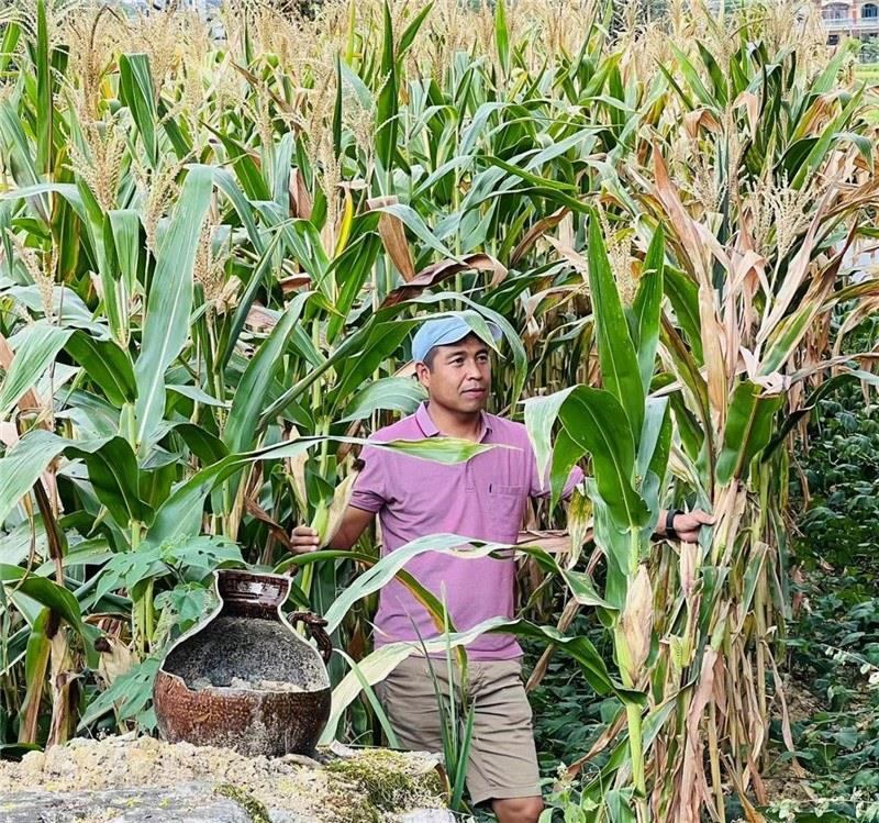 不是攀登石林高臺，就是鉆入玉米莊稼地，吉爾吉斯斯坦《自由之山報》總編輯納拉雷·阿桑巴耶夫“身手不凡”，與生長旺盛的玉米構(gòu)成了花茂村的鄉(xiāng)間野趣。（張亞欣攝）