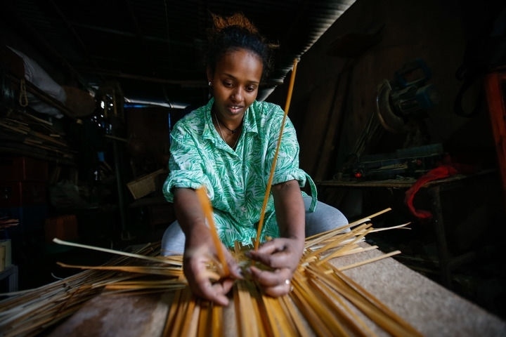 2024年8月10日，菲基爾特·加布雷在埃塞俄比亞首都亞的斯亞貝巴名為“綠色金子”的竹藤工作室里加工竹制產(chǎn)品。新華社發(fā)（邁克爾·特韋爾德 攝）