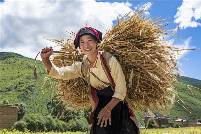 康定市甲根壩鎮(zhèn)青稞豐收，農(nóng)牧民臉上洋溢著豐收的喜悅。林革文攝
