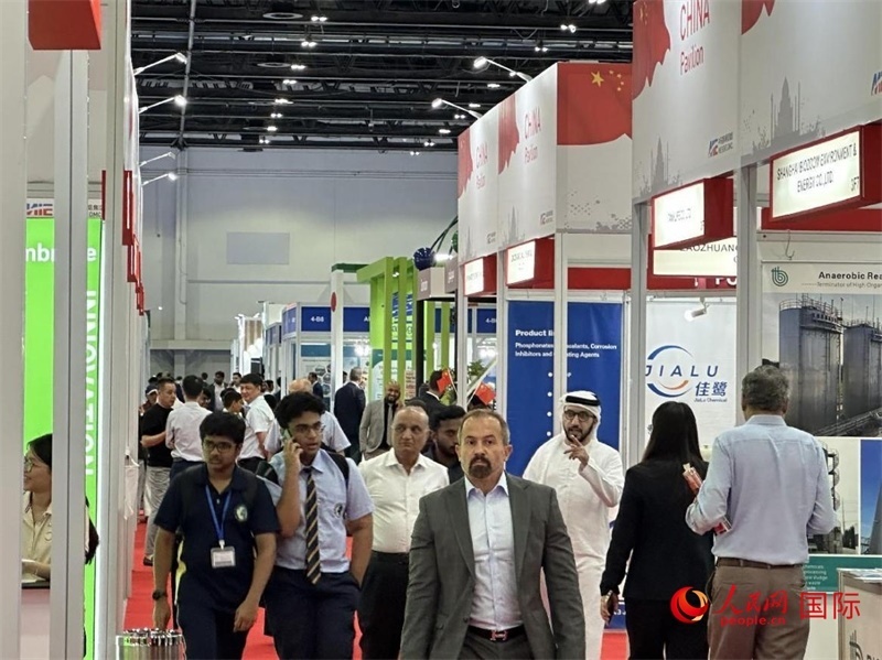 中國(guó)館一角。人民網(wǎng)記者管克江攝