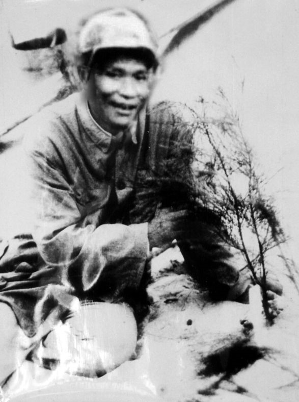 谷文昌與試種成活的木麻黃（資料照片）。為了治沙，谷文昌爬遍了東山縣400多個山頭，踏遍了30多公里的沙灘，終于帶領(lǐng)東山人民試種木麻黃成功。