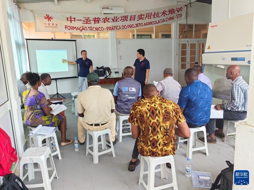 中國(guó)援圣普農(nóng)牧業(yè)技術(shù)項(xiàng)目組專(zhuān)家段振華（后左）在圣多美和普林西比的國(guó)家獸醫(yī)實(shí)驗(yàn)室開(kāi)展動(dòng)物疫病監(jiān)測(cè)技術(shù)培訓(xùn)（2024年6月21日攝）。新華社發(fā)（中國(guó)援圣普農(nóng)技組供圖）