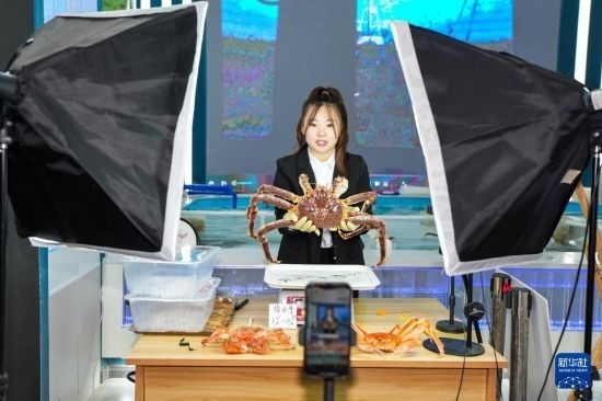 9月20日，在吉林省琿春市的帝王蟹保稅店內，工作人員進行網絡直播售賣帝王蟹。新華社記者 許暢 攝