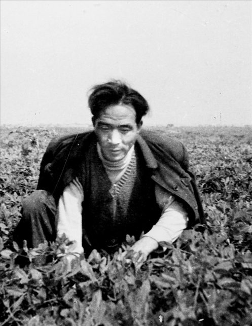 在蘭考期間，焦裕祿在田間勞動(dòng)的情景。