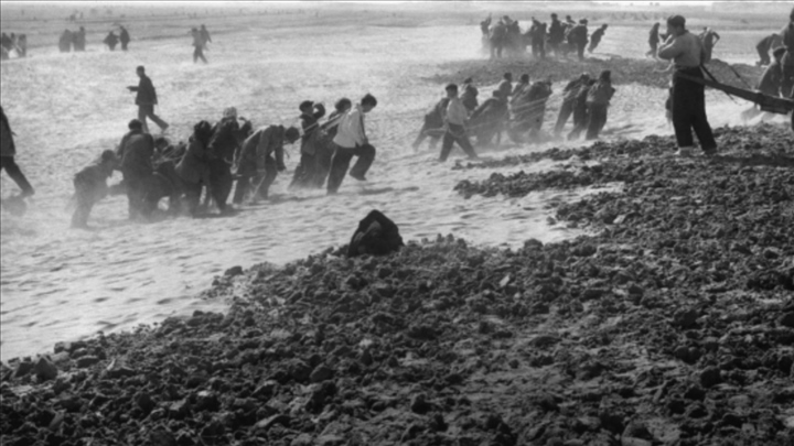 蘭考群眾在拉淤土壓沙。（新華社記者 鄧歷耕 攝）