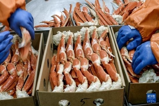 俄羅斯蟹業(yè)集團的工作人員在生產線上加工產品（資料照片）。新華社發(fā)（俄羅斯蟹業(yè)集團供圖）