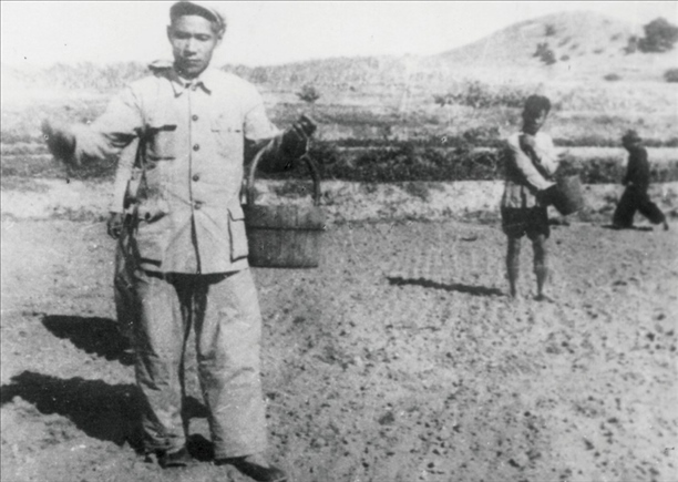 △ 谷文昌在福建省東山縣坑北村參加播種。