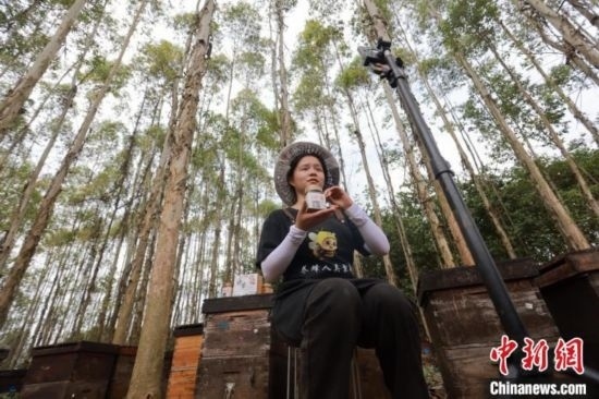 吳素英在網(wǎng)絡(luò)平臺直播介紹蜜蜂和養(yǎng)蜂情況。湯曉逵 攝