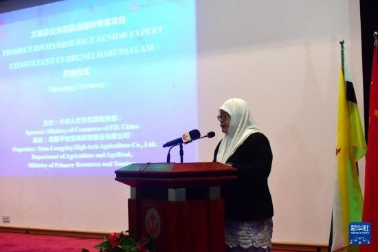 10月26日，文萊初級(jí)資源與旅游部常任秘書圖蒂亞蒂在斯里巴加灣市出席中國與文萊雜交水稻高級(jí)專家顧問項(xiàng)目啟動(dòng)儀式。新華社記者 李萌 攝
