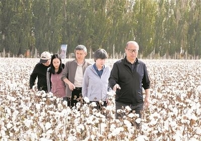 李召虎團(tuán)隊(duì)成員在棉田了解試驗(yàn)情況。 受訪單位供圖