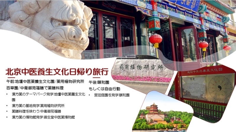 “你好！中國·休閑旅游—中國旅游說明會”宣講材料。中國駐東京旅游辦事處供圖