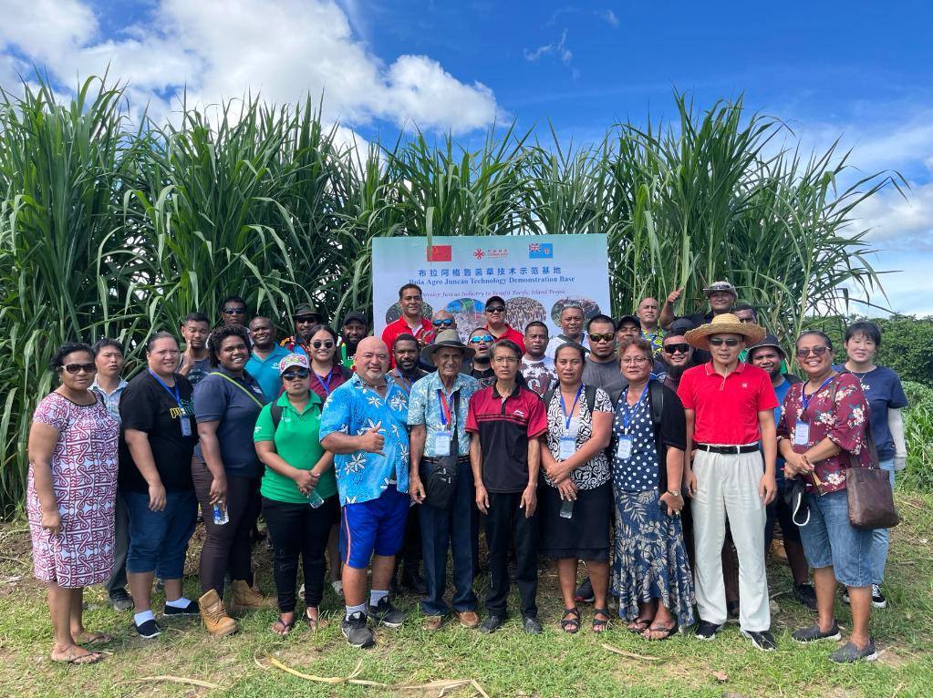 2024年2月28日，來(lái)自巴布亞新幾內(nèi)亞、湯加、庫(kù)克群島、薩摩亞、瑙魯?shù)葒?guó)家的“太平洋島國(guó)菌草技術(shù)培訓(xùn)班”學(xué)員在斐濟(jì)布拉阿格魯菌草技術(shù)示范基地合影。新華社發(fā)（中國(guó)援斐濟(jì)菌草技術(shù)示范中心供圖）