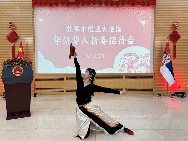 招待會現(xiàn)場表演。諾維薩德孔子學(xué)院供圖