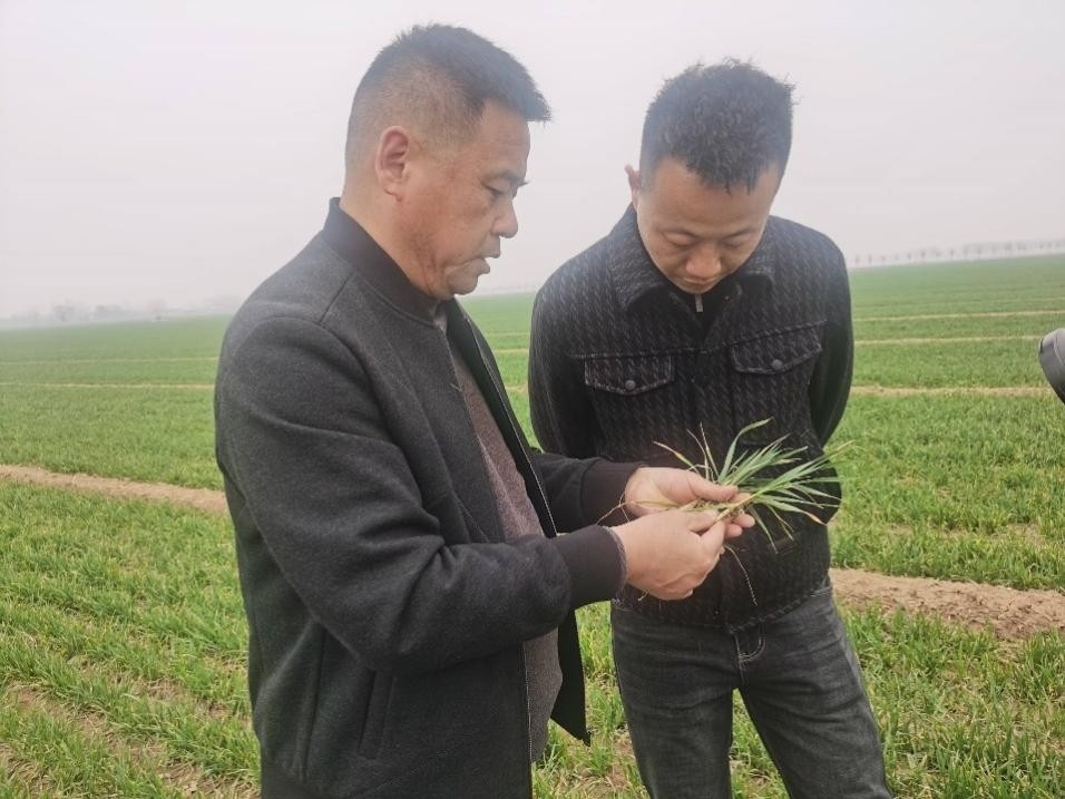 在山東濟(jì)寧汶上縣苑莊鎮(zhèn)，農(nóng)技員黃海龍對種糧大戶王振現(xiàn)場進(jìn)行春耕指導(dǎo)。人民網(wǎng)記者 車柯蒙攝