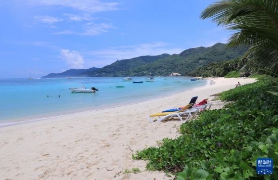 3月19日，游客在塞舌爾馬埃島海邊休閑。新華社記者 董江輝 攝