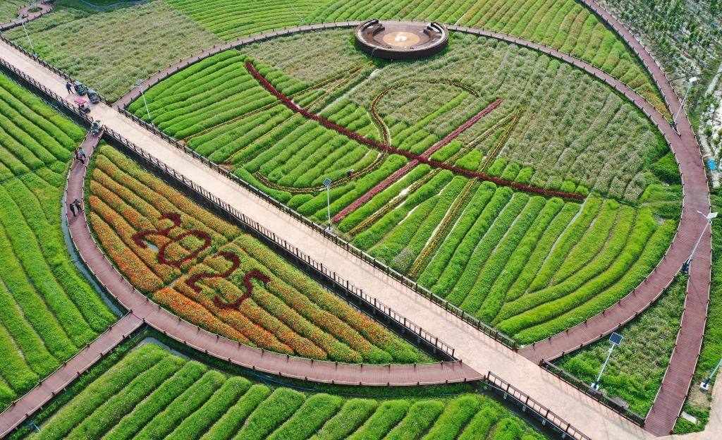 這是3月21日拍攝的瓊海博鰲南強(qiáng)村景色（無(wú)人機(jī)照片）。新華社記者 郭程 攝