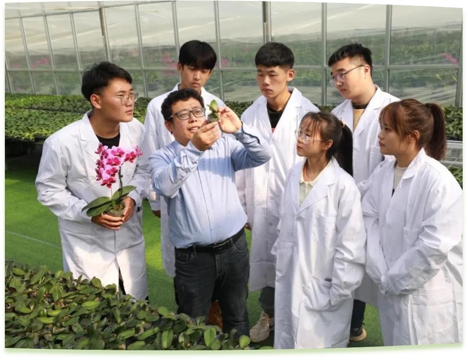 濰坊工程職業(yè)學(xué)院科技創(chuàng)新團(tuán)隊(duì)為花卉行業(yè)從業(yè)者作蝴蝶蘭雜交選育技術(shù)指導(dǎo)。學(xué)校供圖