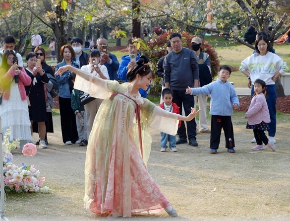 清明假期期間，上海顧村公園櫻花島上，游客在觀賞國(guó)風(fēng)漢服快閃表演。（圖片來(lái)源：視覺(jué)中國(guó)）