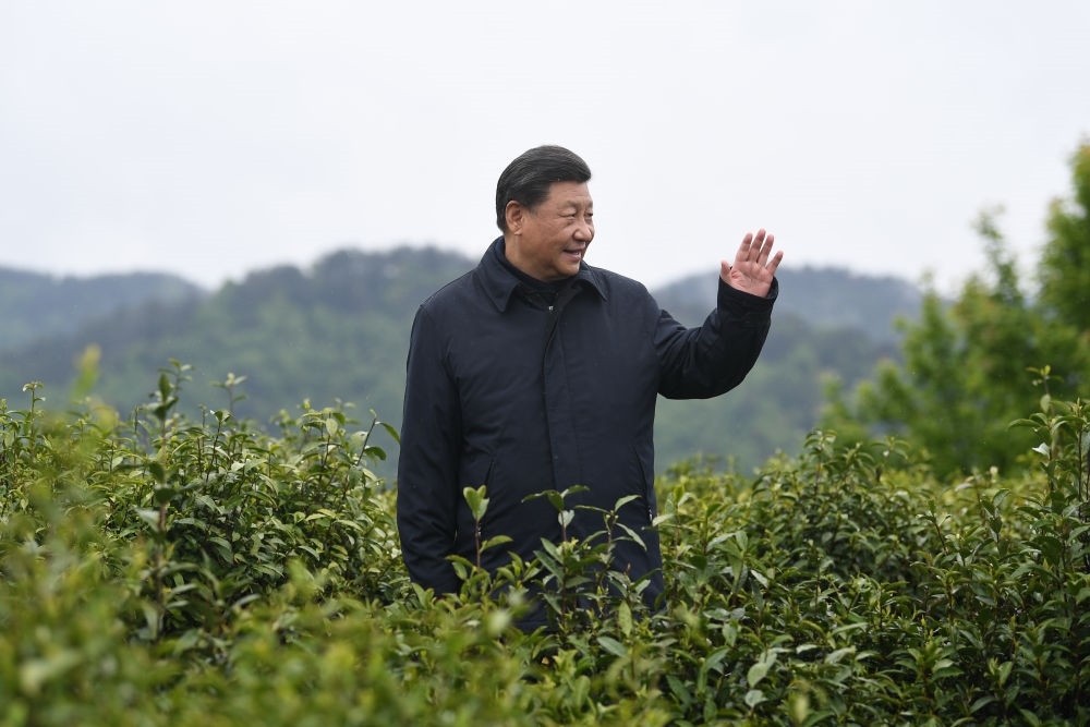 2020年4月21日，習近平總書記來到陜西安康市平利縣老縣鎮(zhèn)，在茶園考察脫貧攻堅情況。新華社記者 燕雁 攝